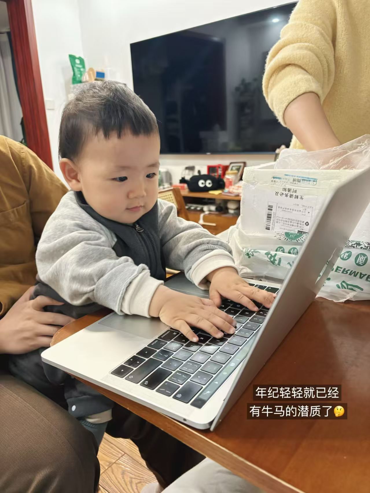 发疯吧老豆
